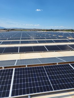 Planta fotovoltaica instalada en la cubierta de la nueva planta productiva de Fripozo