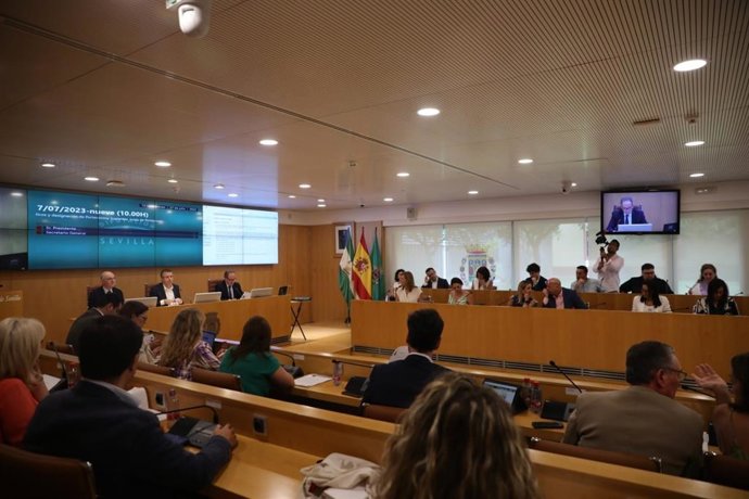 Pleno de organización en la Diputación de Sevilla bajo la presidencia de Javier Fernández.