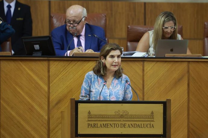 La Consejera de Empleo, Empresa y Trabajadores Autónomos, Rocío Blanco interviene en el  Pleno del Parlamento andaluz. A 26 de julio de 2023, en Sevilla (Andalucía, España).