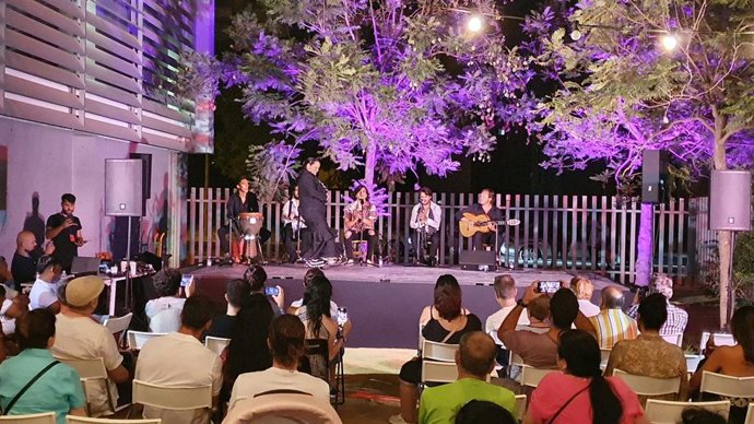 Actuación flamenca en los 'Miércoles de flamenco' de Sevilla.