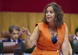 La consejera de Salud y Consumo, Catalina García, en el Pleno del Parlamento.