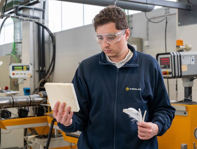 Investigador de Aimplas