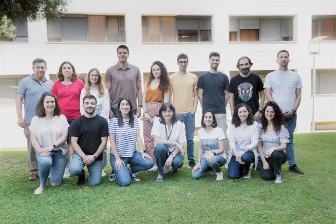 Archivo - Europa aporta 2,5 M para avanzar en un estudio sobre las células madre adultas responsables de la regeneración de tejidos