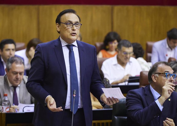 El consejero de Universidad, Investigación e Innovación, José Carlos Gómez Villamandos, en el pleno del Parlamento andaluz.