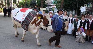 Castilla-La Mancha