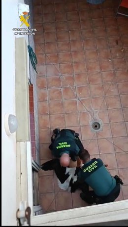 Rescatada una cría de cigüeña que había quedado atrapada en el patio interior de una vivienda en Alfaro