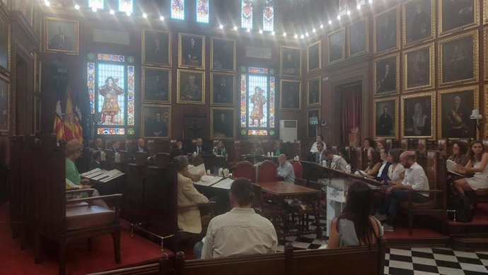 Pleno municipal del Ayuntamiento de Palma del mes de julio.