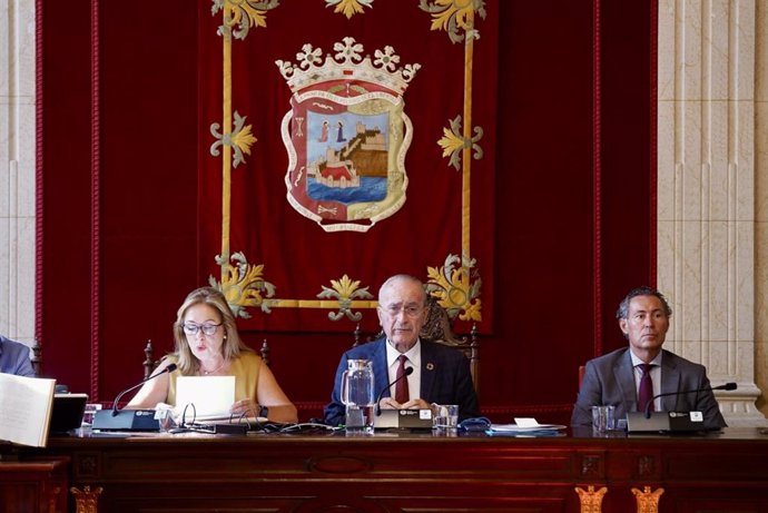 Pleno del Ayuntamiento de Marbella correspondiente al mes de julio