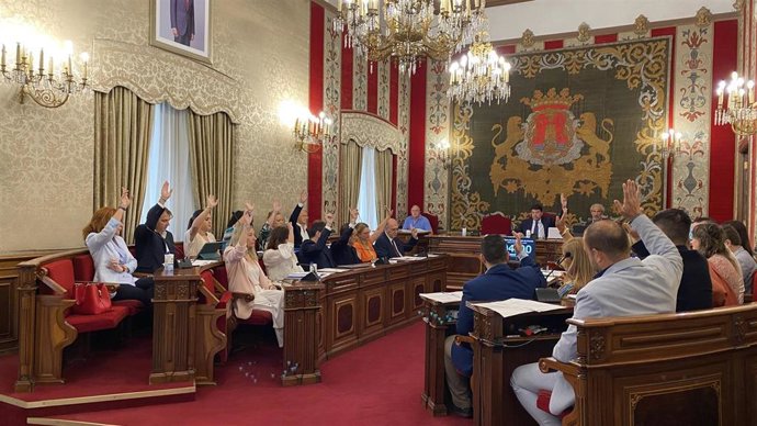 Pleno Ayuntamiento Alicante