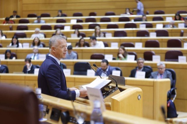 El presidente del Senado, Ander Gil