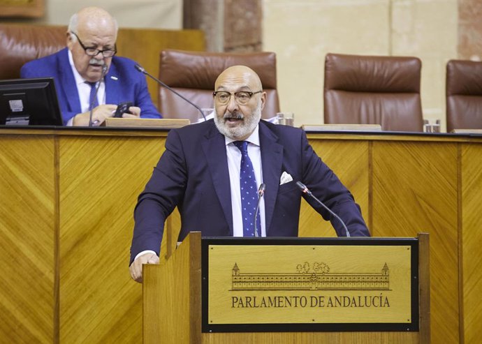 El diputado de Vox Alejandro Hernández, en el Pleno del Parlamento andaluz.