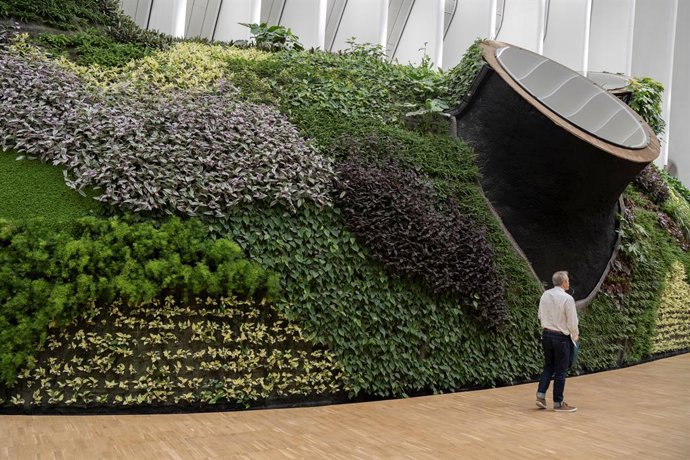 Archivo - Jardín Vertical de CaixaForum Valencia