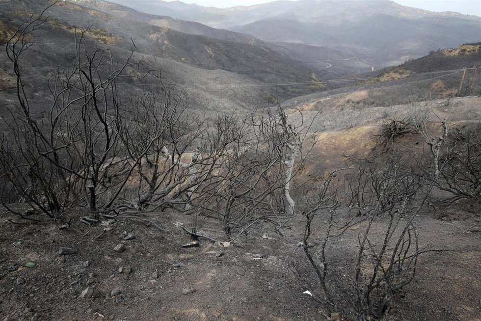 Territorio calcinado por los incendios de Argelia