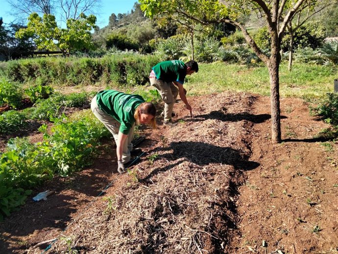 Alumnos del curso 'Raixa 2022' realizando tareas de jardinería
