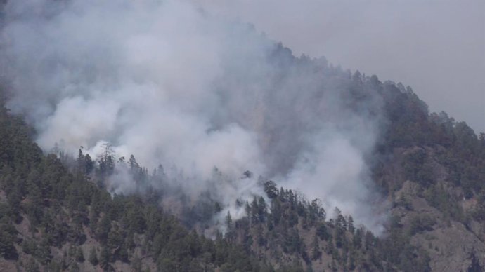 Imagen de este jueves, 27 de julio, en la zona en la que se reactivó el incendio de Puntagorda, en la isla de La Palma, en el barranco de Las Cañeras de la Caldera de Taburiente.