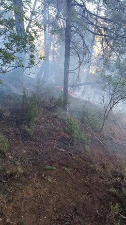 Incendio en el Puente de las Herrerías