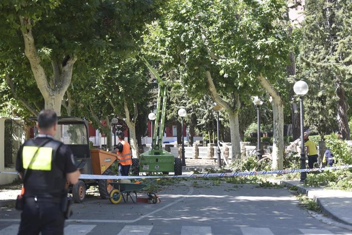 El parque Miguel Servet se encuentra cerrado al público