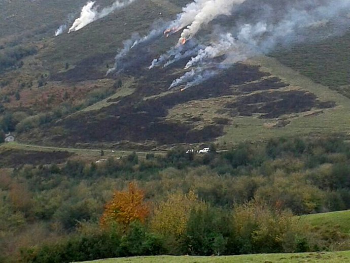 Archivo - Quema controlada
