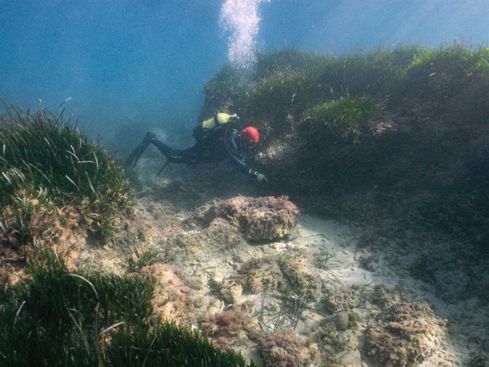 Un técnico del Consell de Mallorca en una exploración a un yacimiento submarino en la isla.