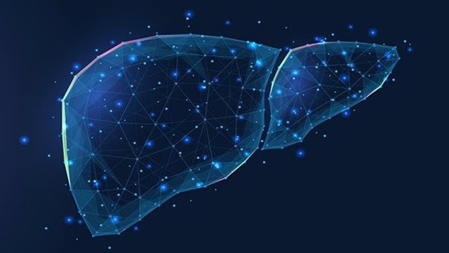 Un estudio identifica una potencial diana terapéutica contra la cirrosis y la inflamación hepática