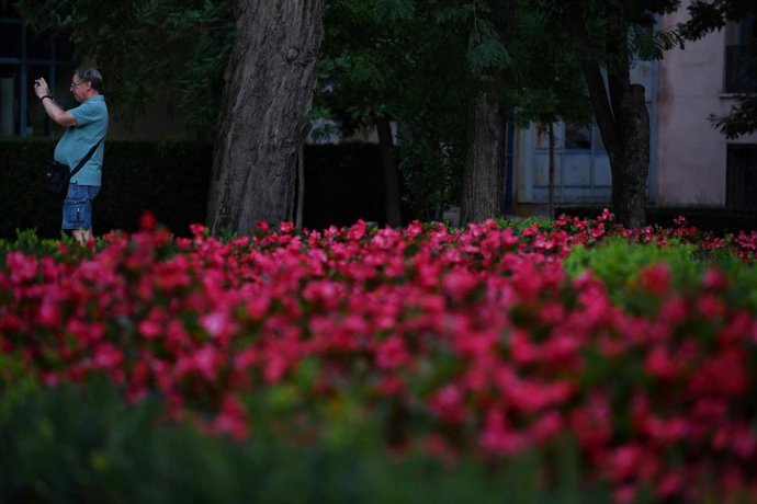 Archivo - Jardines con flores