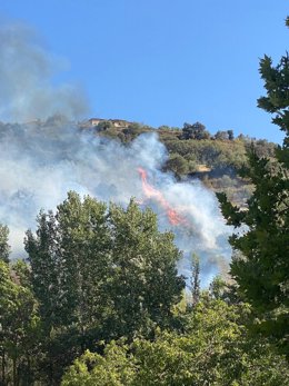Declarado incendio forestal en Pinos Genil con más de un centenar de efectivos y 9 medios aéreos
