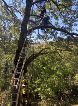 Rescate de un parapentista atrapado en un árbol.
