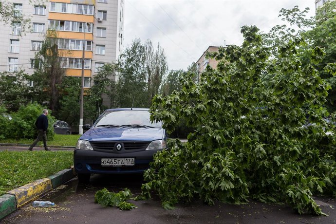 Archivo - MOSCOW, May 29, 2017  The fallen branches of trees are seen by a car after a storm in Moscow, Russia, on May 29, 2017. A sudden storm killed at least 11 people in Moscow Monday afternoon and forced 50 others to seek medical assistance, local m