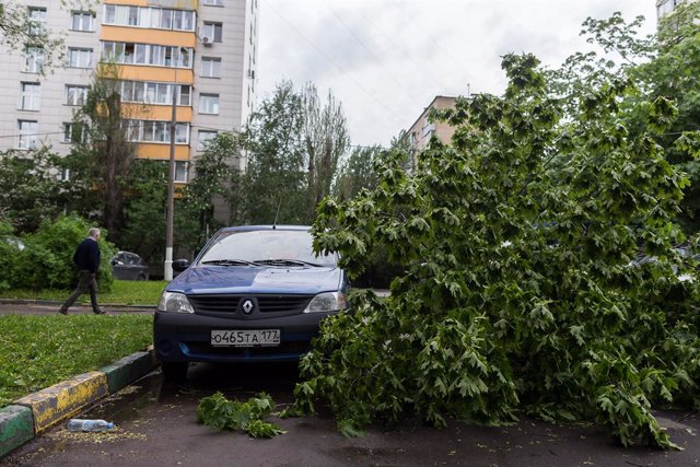 Archivo - MOSCOW, May 29, 2017  The fallen branches of trees are seen by a car after a storm in Moscow, Russia, on May 29, 2017. A sudden storm killed at least 11 people in Moscow Monday afternoon and forced 50 others to seek medical assistance, local med