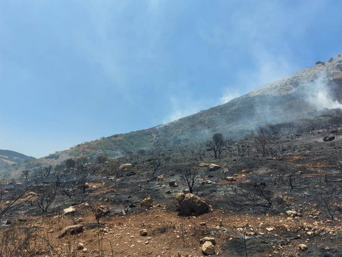 Paraje de Antequera afectado por el incendio forestal