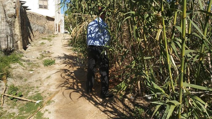 Las trabajadoras de La Alcoyana podrían volver a convocar huelga en el transporte interurbano a partir de la última semana de agosto si no se cumple el acuerdo de instalación de lavabos antes de la última semana de agosto