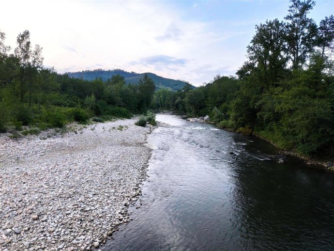 Archivo - Río Nalón a su paso por Caces, en la senda verde de Oviedo.