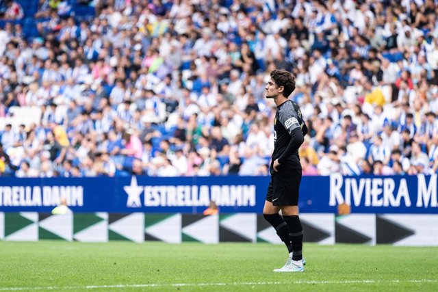 Archivo - Alex Collado of Elche CF looks on during La Liga match, football match played between RCD Espanyol and Elche CF at RCDE Stadium on October 23, 2022 in Barcelona, Spain.