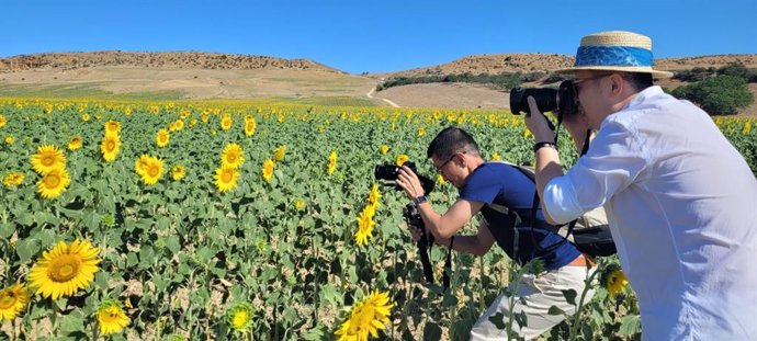 Delegación china en uno de los viajes de familiarización organizados por Prodetur, dependiente de la Diputación de Sevilla.
