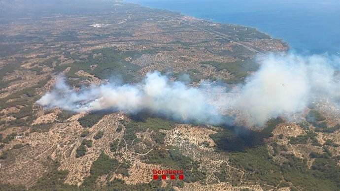 Zona afectada per l'incendi que crema en Perelló (Tarragona)