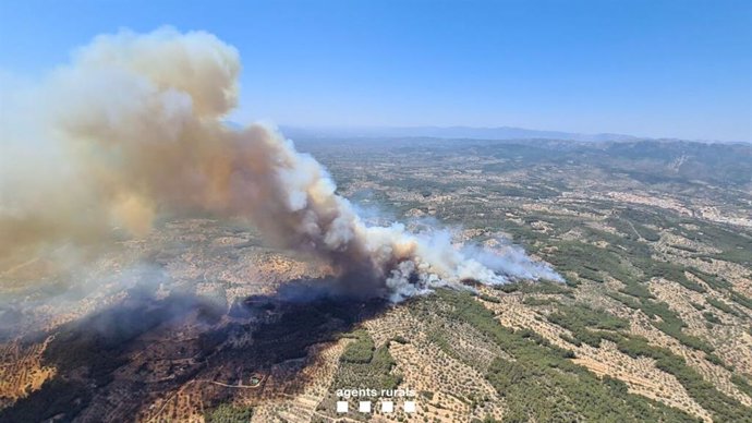 Zona afectada pel foc