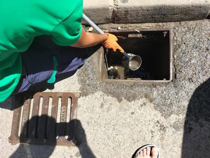 Toma de una muestra de agua de imbornales para detectar sí hay presencia de larvas de mosquito con el virus del Nilo Occidental en Guillena (Sevilla).