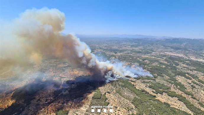 Incendio forestal en El Perelló (Tarragona)