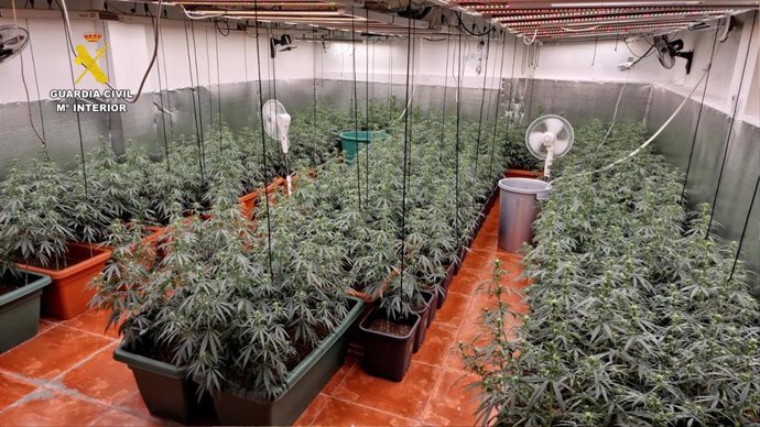 Hasta 21 detenidos en el desmantelamiento de un grupo dedicado al tráfico de heroína en la Cañada