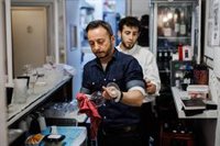 La Seguridad Social registra en el mes de julio en Andalucía 12.146 afiliados menos