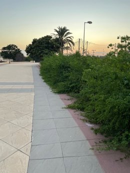 Imagen del Paseo del Malecón