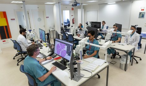 Investigación