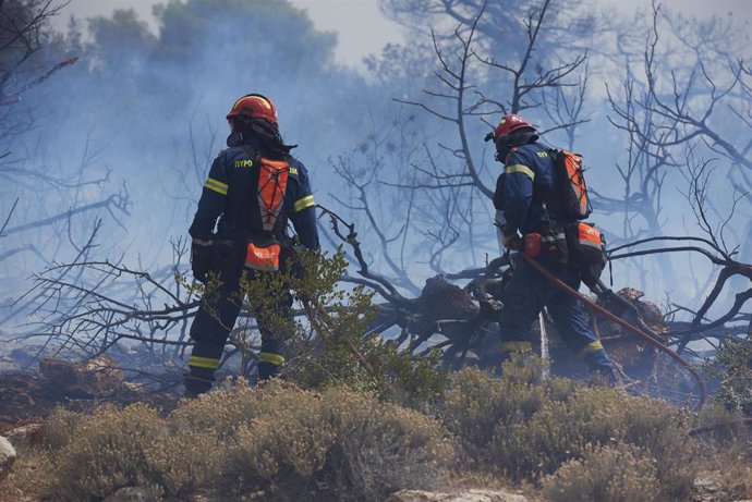 Bomberos en labores de extinción de un incendio forestal en la ciudad griega de Viotia.