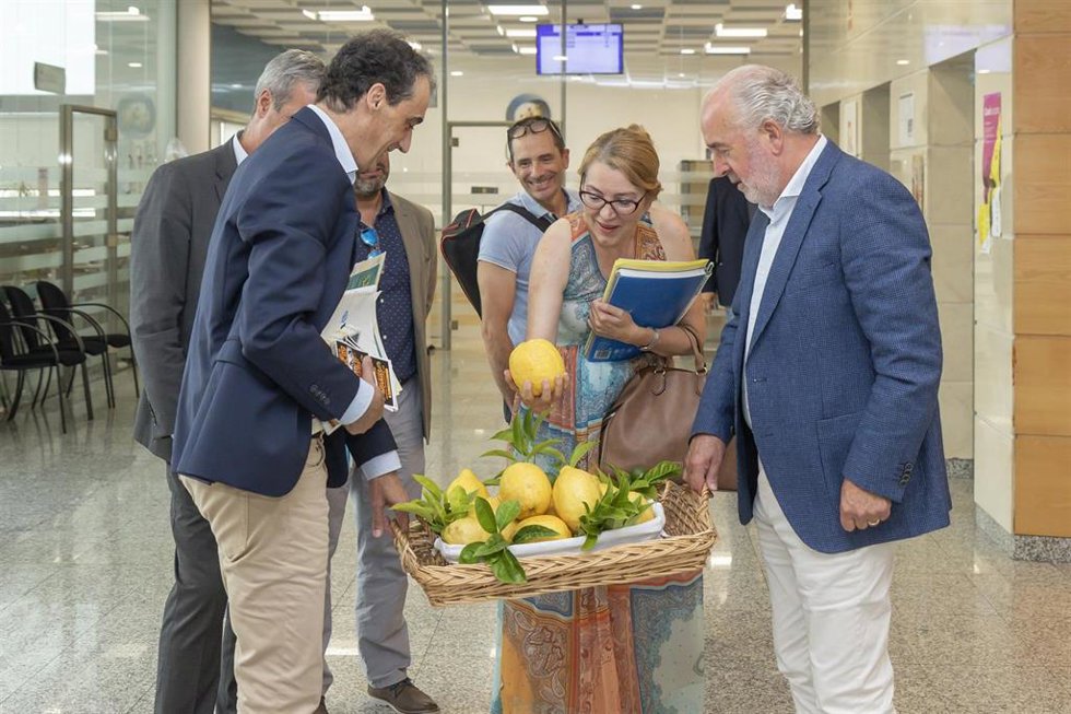 Presentación de la fiesta de los 'Limones Solidarios'