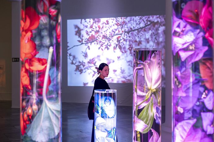 El Centre del Carme propone siete exposiciones con disciplinas variadas este verano