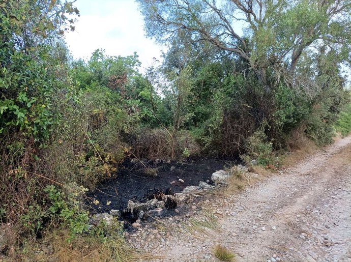 Incendio forestal en Art.