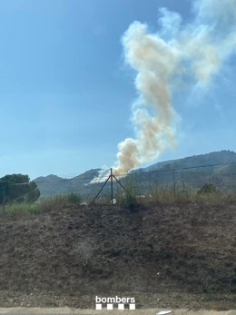 Incendio de vegetación en La Coma, La Selva del Camp (Tarragona)