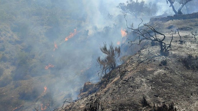Archivo - Incendio en Sorbas (Almería).