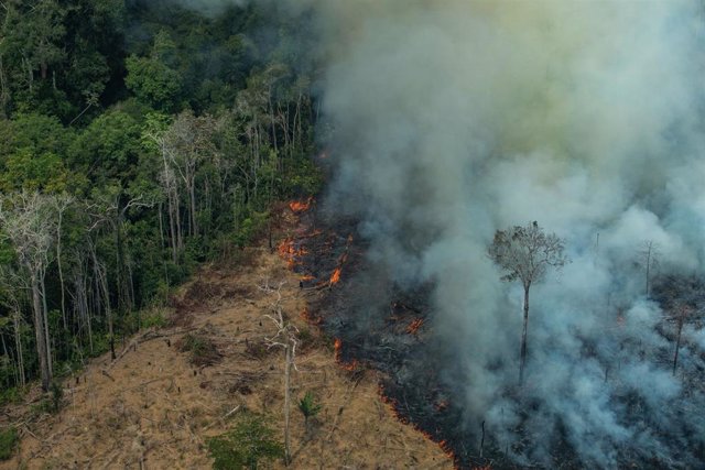 Archivo - Deforestación en bosques de Rondonia, en la Amazonia brasileña