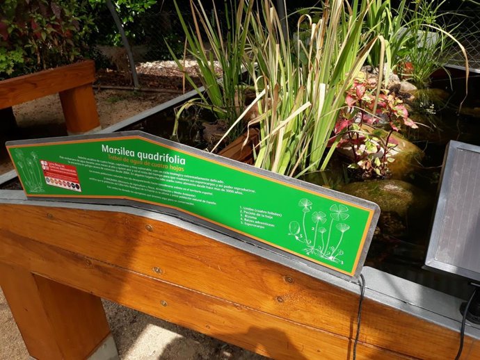 Archivo - Plantas en el Hospital de Pozuelo